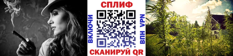 Цена Чкаловск КОКАИН  Alpha PVP  Псилоцибиновые грибы  МЕФ  Конопля 