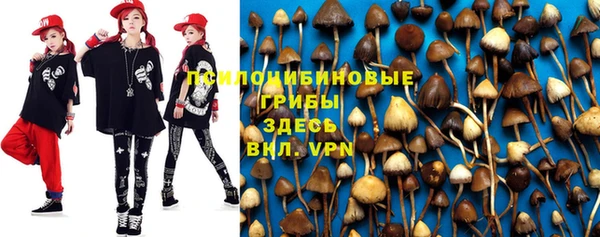 дурь Абдулино