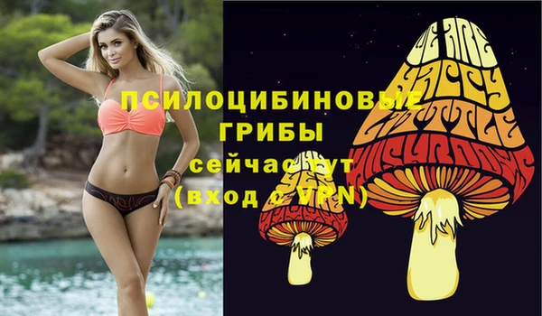 прущий лед Алексеевка