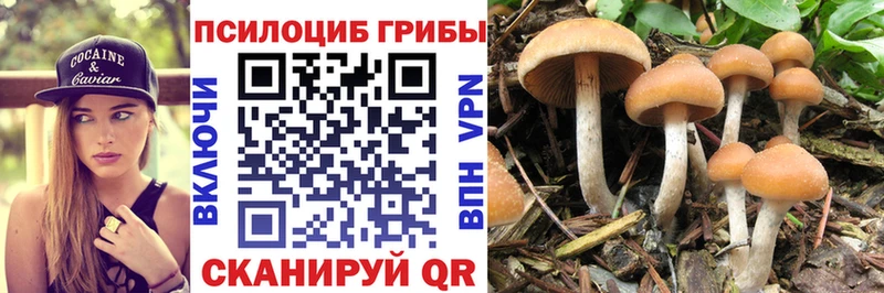 Галлюциногенные грибы мицелий  дарнет шоп  Чкаловск 