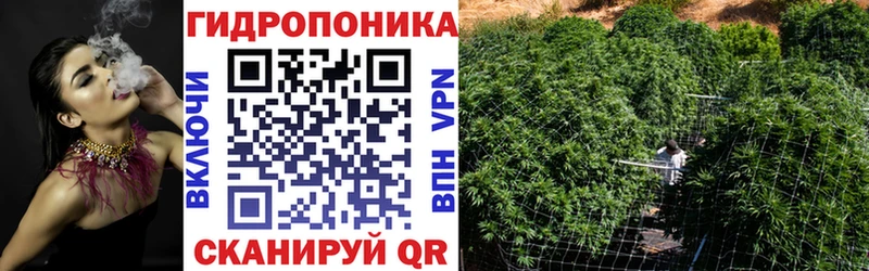 Шишки марихуана сатива Чкаловск